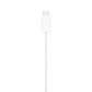 Apple Watch Magnetic Charger to Type-C Cable (1m) - White